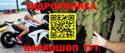 сатива Бийск
