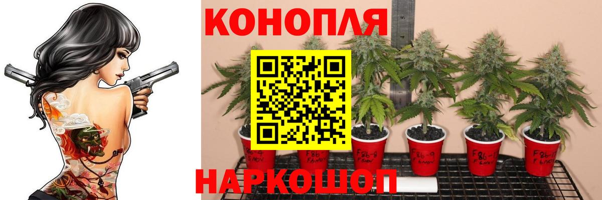 Кольчугино  МАРИХУАНА планчик  МАРИХУАНА THC 21%  Бошки Шишки Ganja  Вход с VPN 